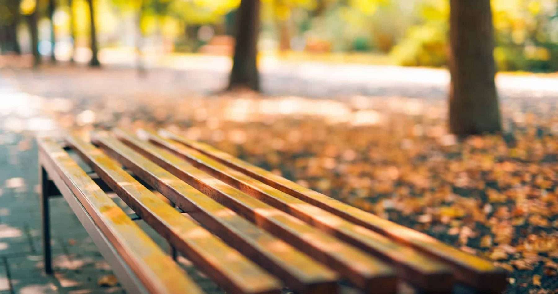 This is a picture of an Empty bench in the autumnal park with blurred colorful background for an article called How to bench mark your competitors Octopus Competitive Intelligence How To Conduct Competitor Benchmarking Effectively. What are the four steps of competitive benchmarking?