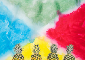 This is an image of 4 pineapples and 4 colours for an article called Porters Four Corners Model and Market Intelligence and Competitive Intelligence by Octopus market intelligence agency octopus competitive intelligence solutions. Exploring The Four Common Marketing Intelligence Practices. Criticism of Porter's 5 Forces: Competition Demystified