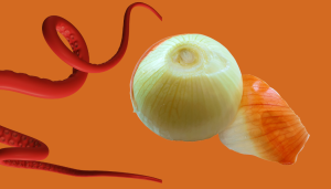 This is an image of a peeling union for an article called Why Peeling Competitors like an onion offer unconventional approach to your insight by octopus competitive intelligence company octopus marketing intelligence company
